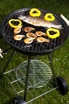 Grilled Foods, Fish, bright colorful vivid theme