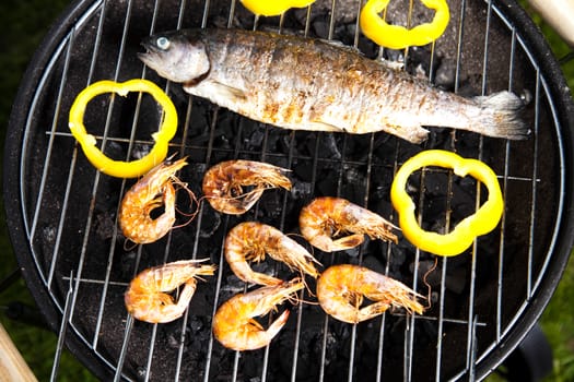Grilled Foods, Fish, bright colorful vivid theme