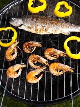 Grilled Foods, Fish, bright colorful vivid theme