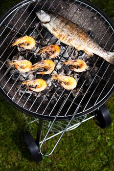 Grilling fish and shrimps, bright colorful vivid theme