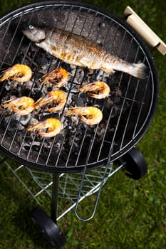 Grilling fish and shrimps, bright colorful vivid theme