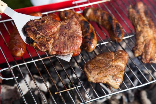 Barbecue, bright colorful vivid theme