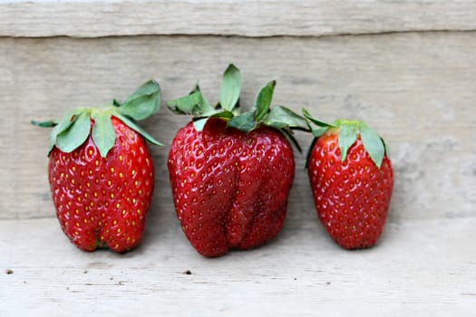 Picture of a fresh Strawberry fruit