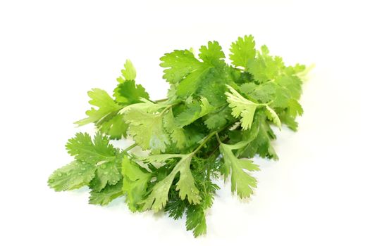 green bunch of coriander on a light background
