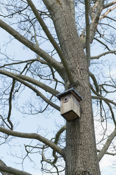 Photo of a tree trunk with a bird feeder