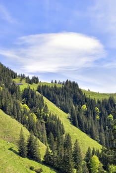 Landscape on the mountain Breitenstein in the Alps in Bavaria, Germany