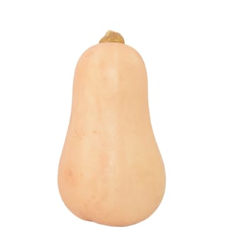 Fresh butternut squash, isolated on a white background