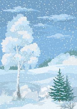 Christmas Winter Forest Landscape with Birch, Firs Trees and Sky with Snow and Clouds