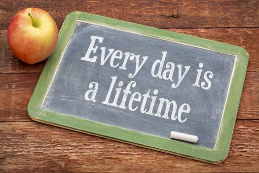Every day is a lifetime - words of wisdom on a slate blackboard against red barn wood