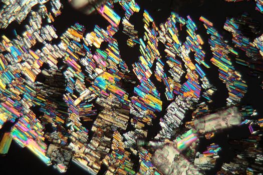 Alanine is a amino acid which occurs in the human body. The photo is made with a magnification of 100x and in polarized light. The sample is pure Alanine precipitated from a solution on a microscope slide.