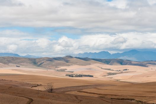 View of the countryside between Bot River and Caledon in the Overberg region of the Western Cape Province of South Africa