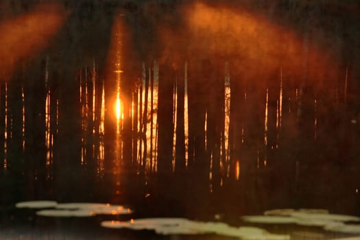 Poland.Bory Tucholskie Nationa Park.Sunrise water with reflecting the sun's rays and mistic fogs.