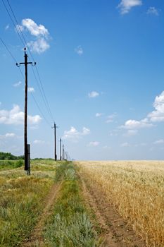 Country road, wheat field, power lines  and blue sky