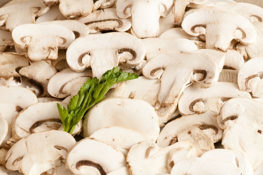 view of porcini mushrooms sliced and served on a white plate