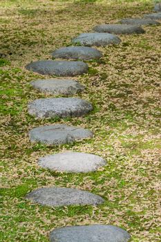 Stepping stones on grass with many fallen leaves.