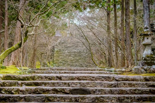 Stone stairs outside of a mountainside temple in Kochi, Japan with bare trees and moss.