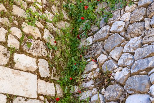 Poppies on Ruins Temple of Serapis in Jerusalem