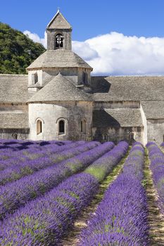Famous Abbey of Senanque. France.