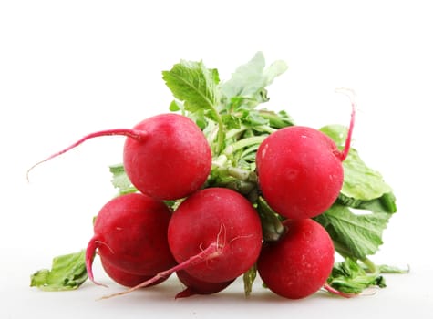 Red Garden Radish Isolated On White Background