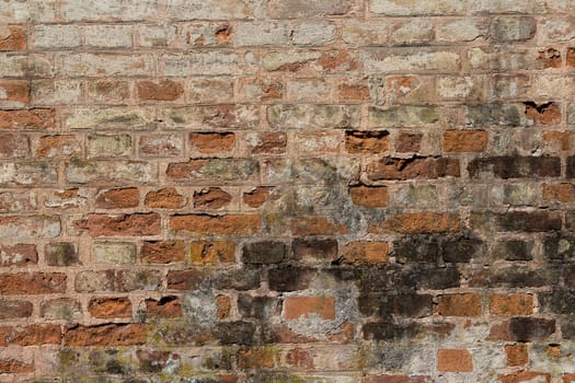 A brick wall as a background