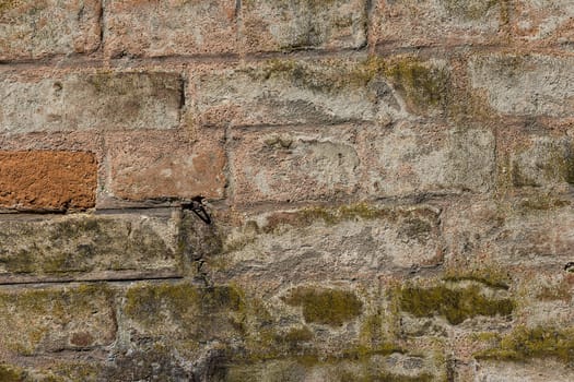 A closer look at a brick wall