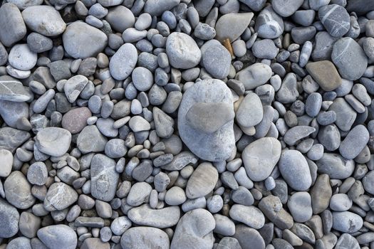 The pebbles with a cigarette butt