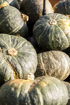 Green Grüner Hokkaido cucurbita pumpkin pumpkins from autumn harvest on a market