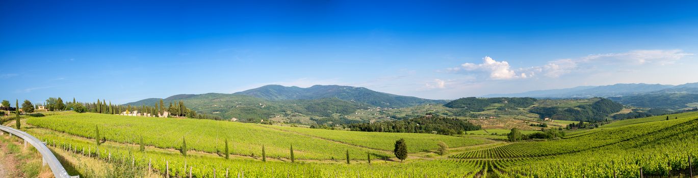 Panoramic view of hills in Tuscany, Italy.