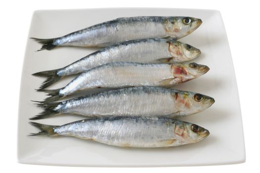 sardines on dish