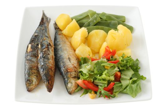 sardines on dish