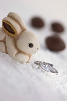 first floor of a rabbit intent on looking engagement rings