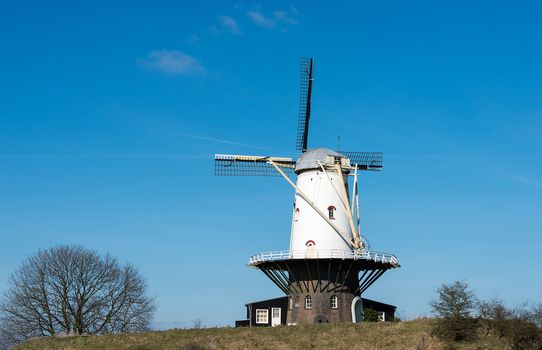 dutch thesis flour mills windmill with blue sky on a dike in the village wemeldinge