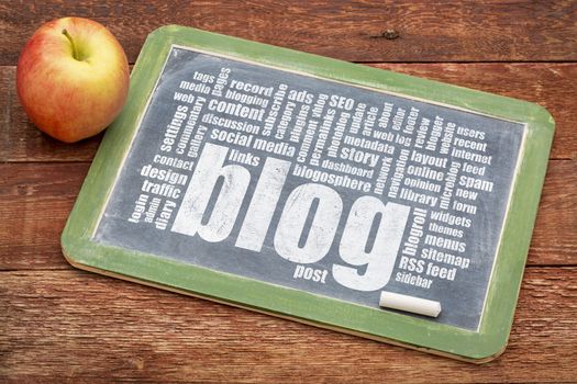 internet concept - blog word cloud on a slate blackboard with a chalk and apple