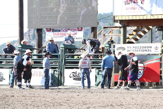 MERRITT, B.C. CANADA - May 30, 2015: Bull rider preparing to ride in the first of round of The 3nd Annual Ty Pozzobon Invitational PBR Event.