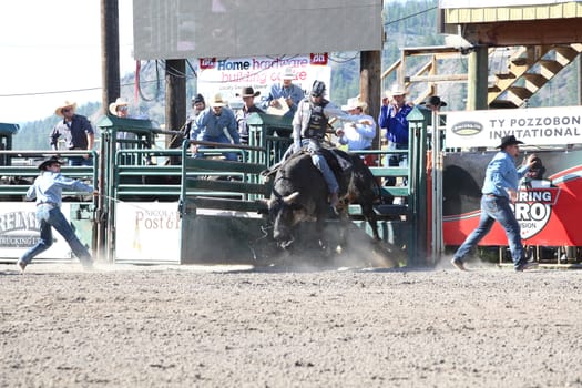 MERRITT, B.C. CANADA - May 30, 2015: Bull rider riding in the first of The 3nd Annual Ty Pozzobon Invitational PBR Event.