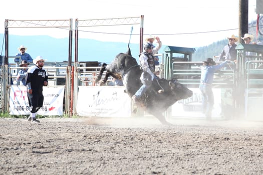 MERRITT, B.C. CANADA - May 30, 2015: Bull rider riding in the first of The 3nd Annual Ty Pozzobon Invitational PBR Event.