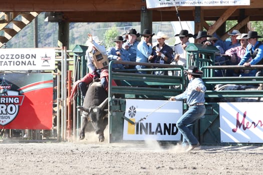 MERRITT, B.C. CANADA - May 30, 2015: Bull rider riding in the first of The 3nd Annual Ty Pozzobon Invitational PBR Event.