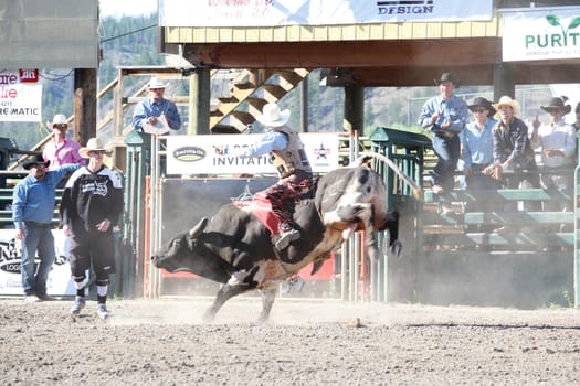 MERRITT, B.C. CANADA - May 30, 2015: Bull rider riding in the first of The 3nd Annual Ty Pozzobon Invitational PBR Event.