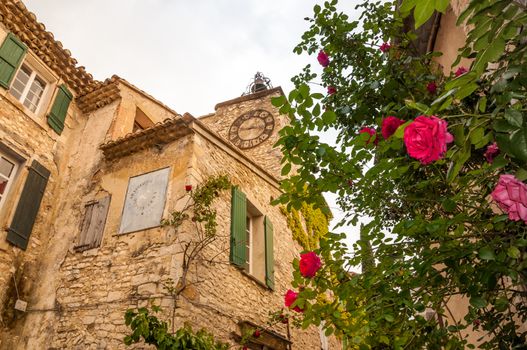 View of historical house and wild roses in Le Crested village, Provence, France