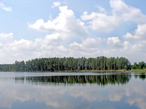 A forest next to a lake with reflections in the water