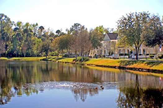 A lake and trees in a residential area