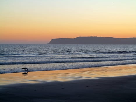 A sunset over the ocean with a seagull