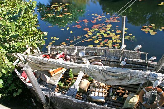 A boat in the wild with contents