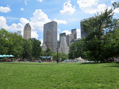 Central Park in New York City on a sunny day