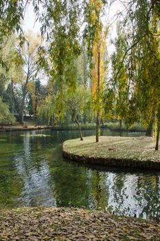 Vegetation of Fonti del Clitunno Park in Umbria, Italy