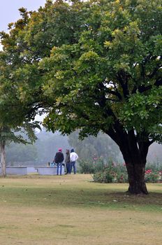 Chandigarh, India - January 4, 2015: Indian people visit Zakir Hussain Rose Garden on January 4, 2015 in Chandigarh, India. Zakir Hussain Rose Garden, is a botanical garden with 50,000 rose-bushes of 1600 different species.