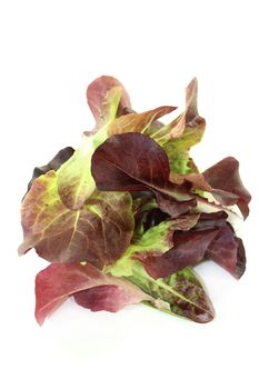 fresh red salad on a bright background