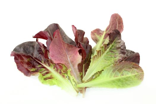 fresh red salad on a bright background