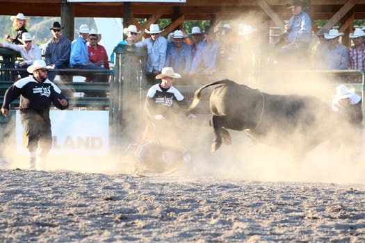 MERRITT, B.C. CANADA - May 30, 2015: Bull rider riding in the first round of The 3nd Annual Ty Pozzobon Invitational PBR Event.