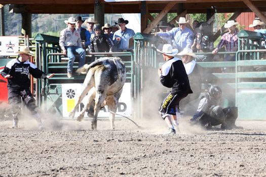 MERRITT, B.C. CANADA - May 30, 2015: Bull rider riding in the first round of The 3nd Annual Ty Pozzobon Invitational PBR Event.